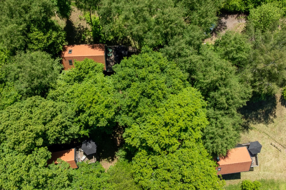 Logement GreenGo: Ecolodges Z