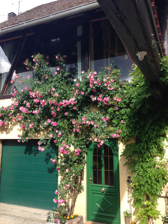 Gîte au Cœur de Bergheim