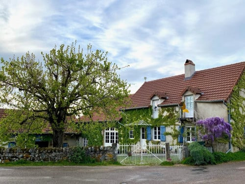 GreenGo Le coin de St Firmin