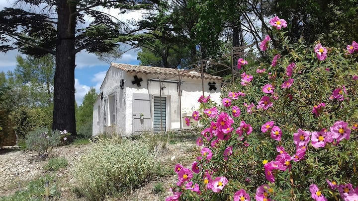 Le Cabanon