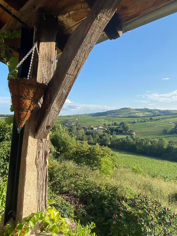 Hôte GreenGo: Le cottage du vignoble