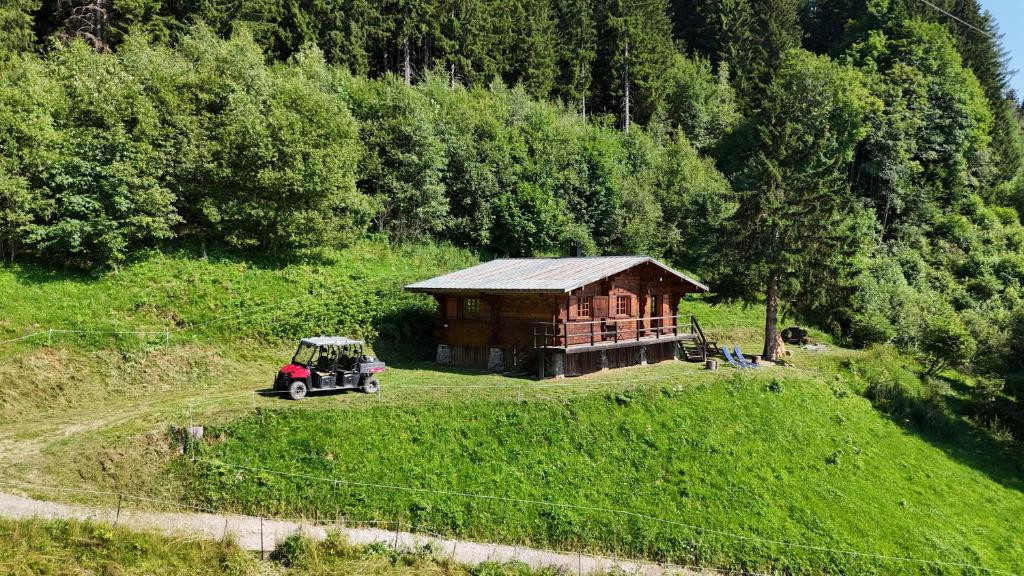 Haute-Savoie En forêt