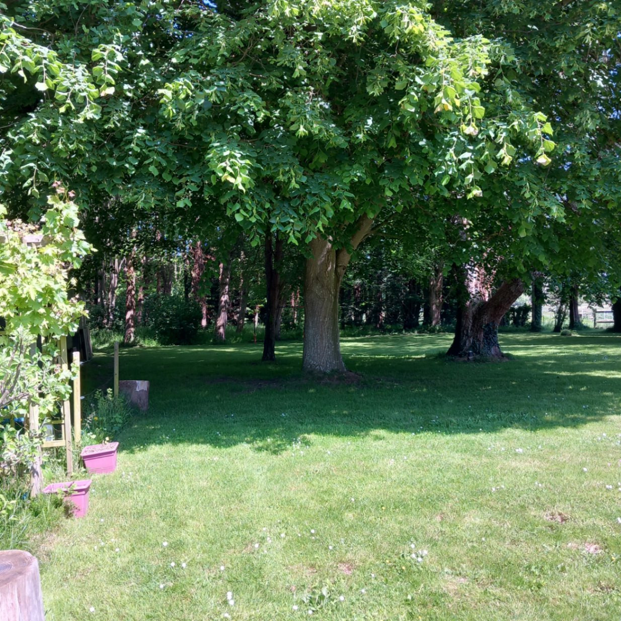 GreenGo Le Clos Nalet