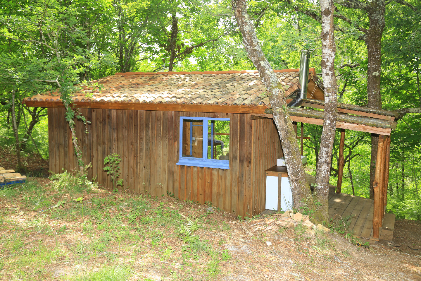 Cabane au coeur de la forêt des Landes de Gascogne