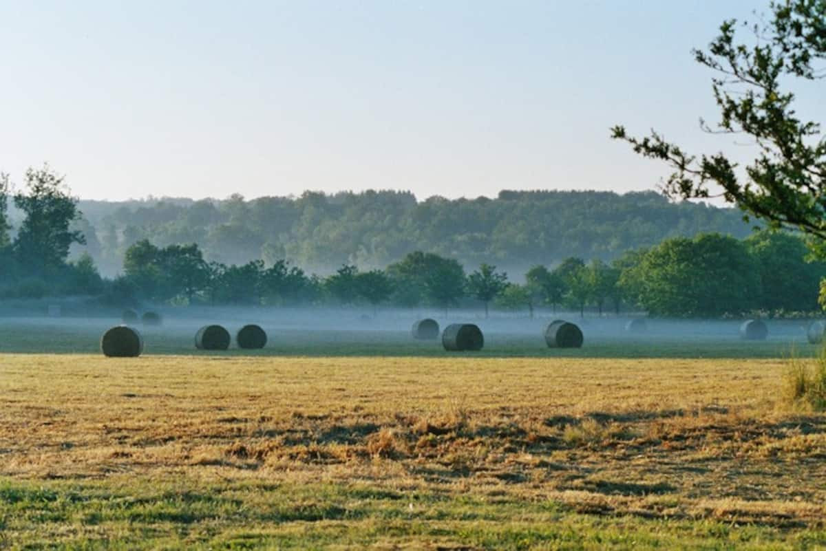 GreenGo location vacances écoresponsables