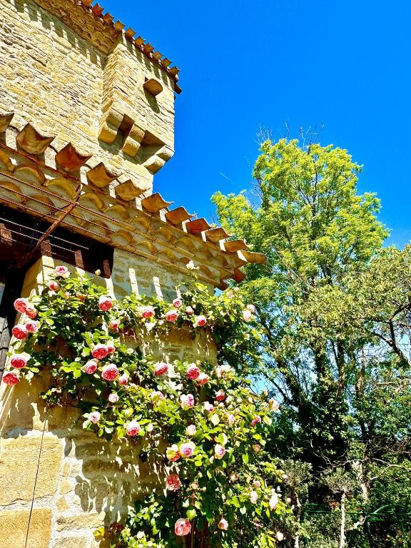 GreenGo Gîte Occitanie Évasion