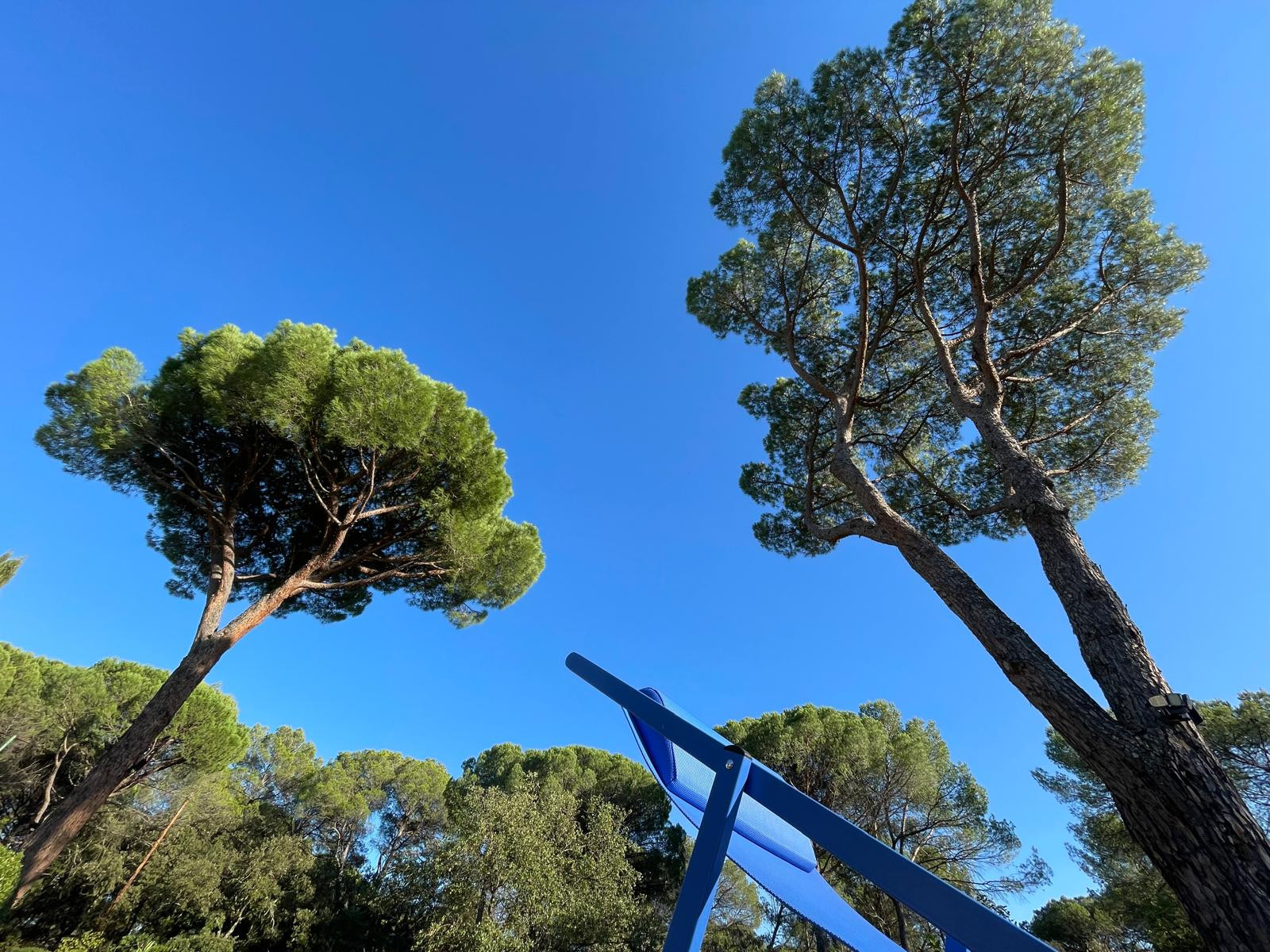  Var À la campagne