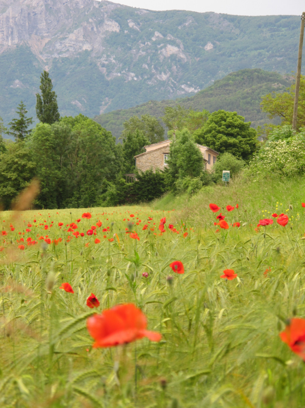 GreenGo Chambre double avec vue sur la vallée