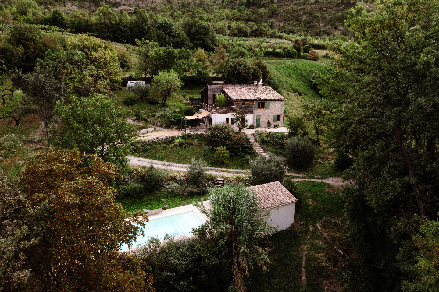 GreenGo Au pays des oliviers