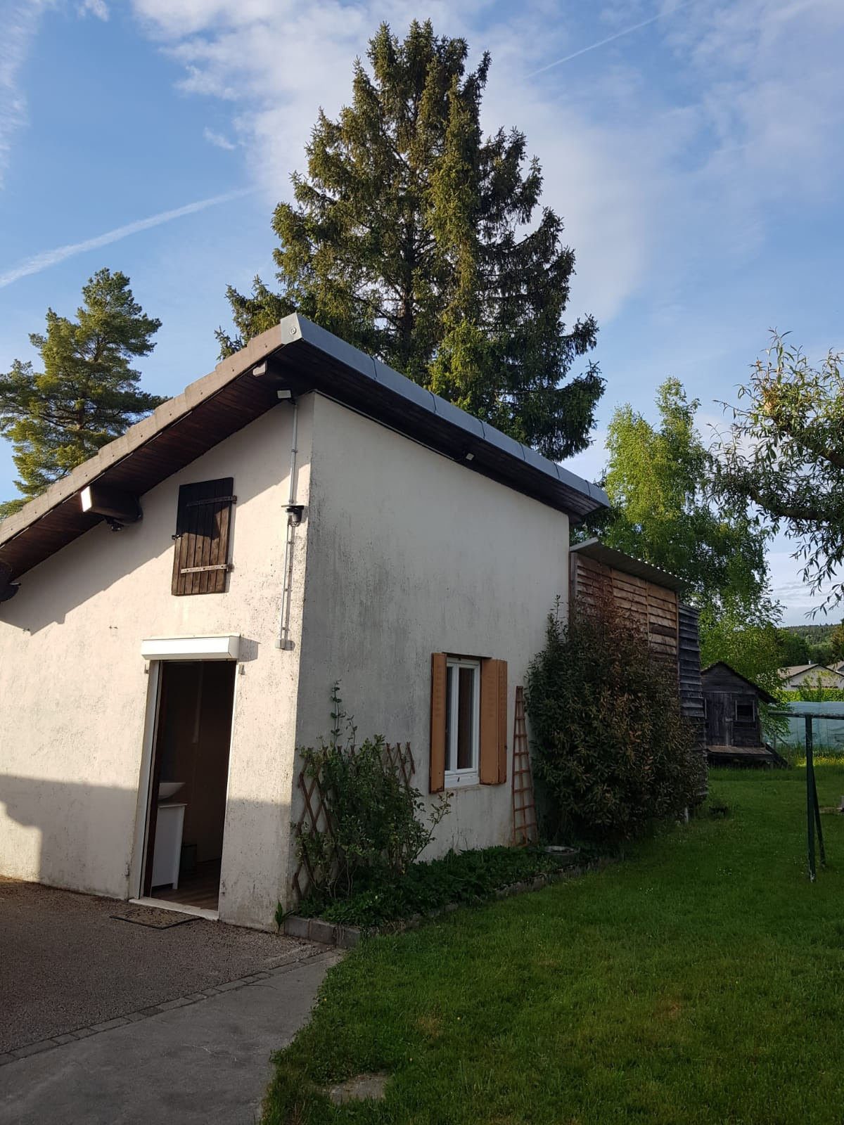  Jura En forêt