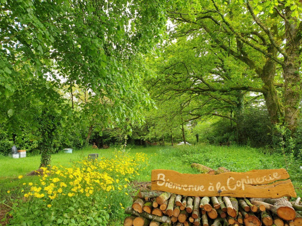GreenGo Gîte Tirnanog en Brocéliande