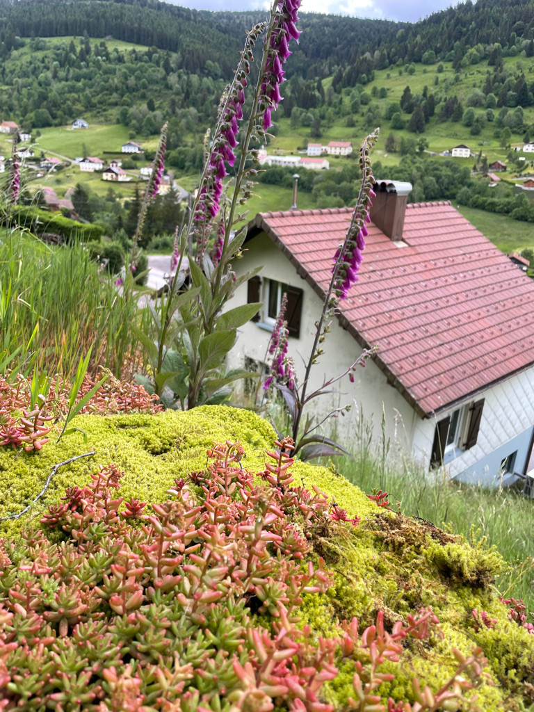 GreenGo Le Recoin du Chajoux