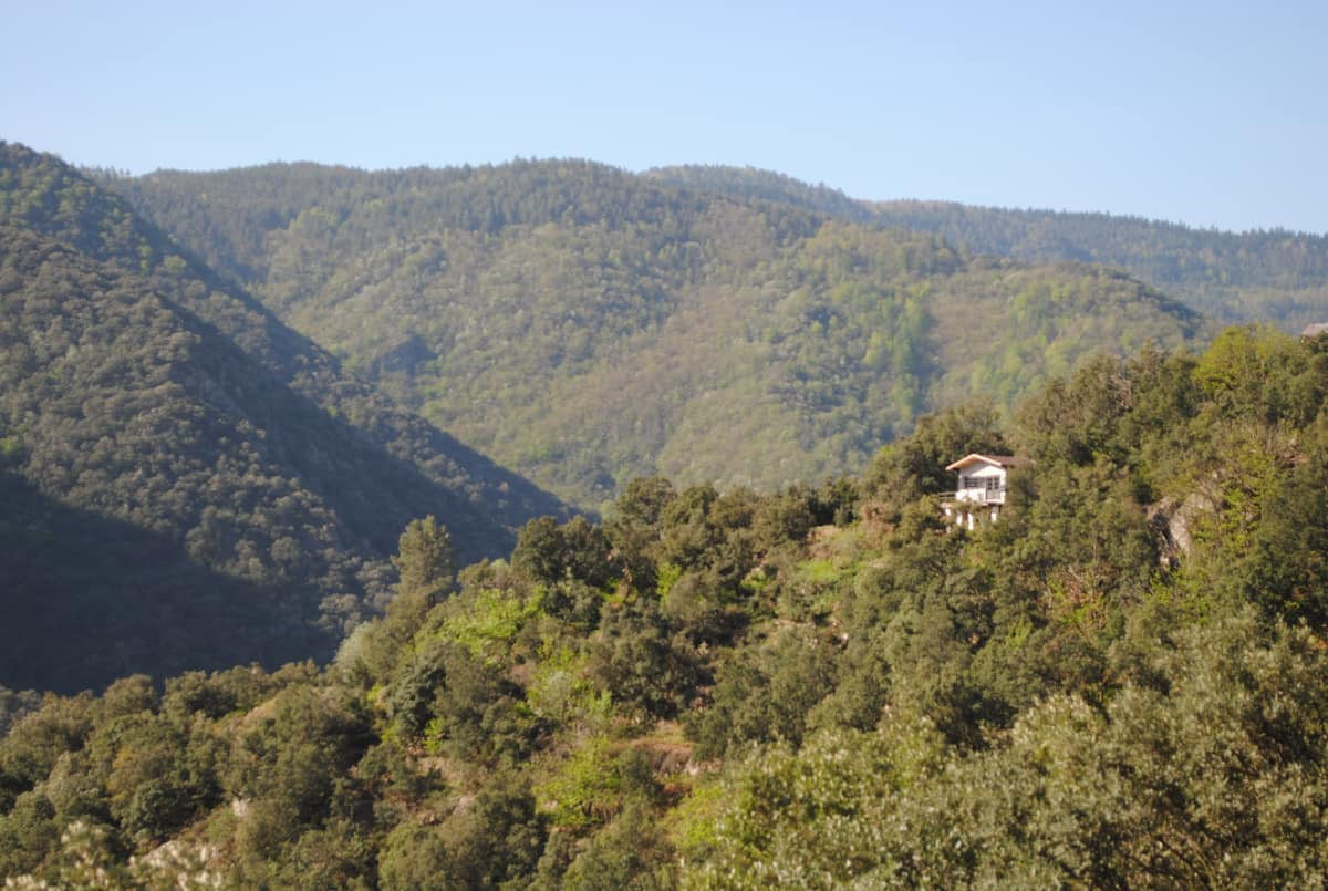 Location Lozère À la campagne