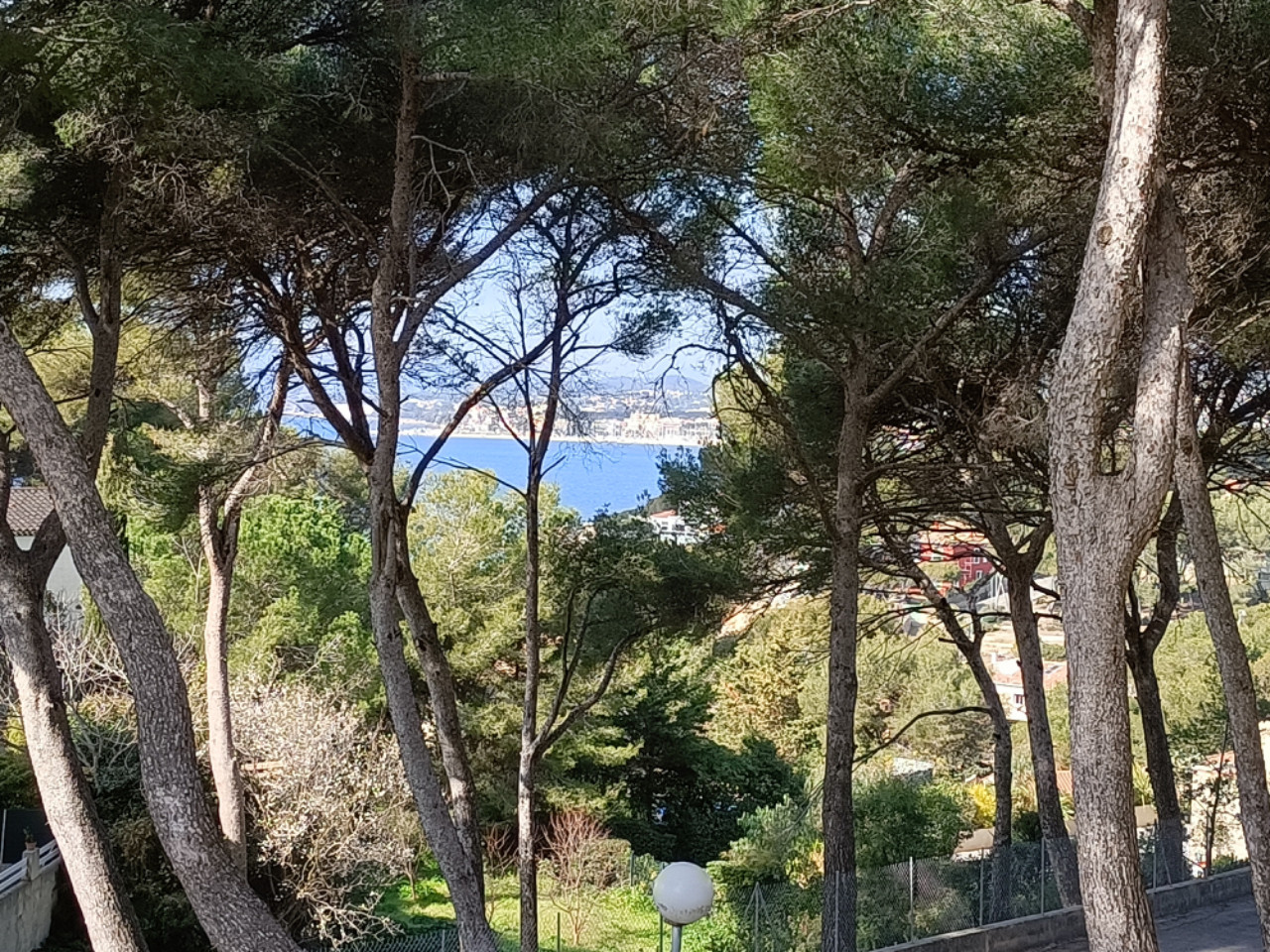 Hôte GreenGo: T2 Sanary sur mer