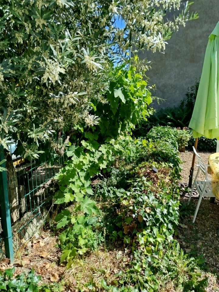 GreenGo Saint-Pierre Curie
