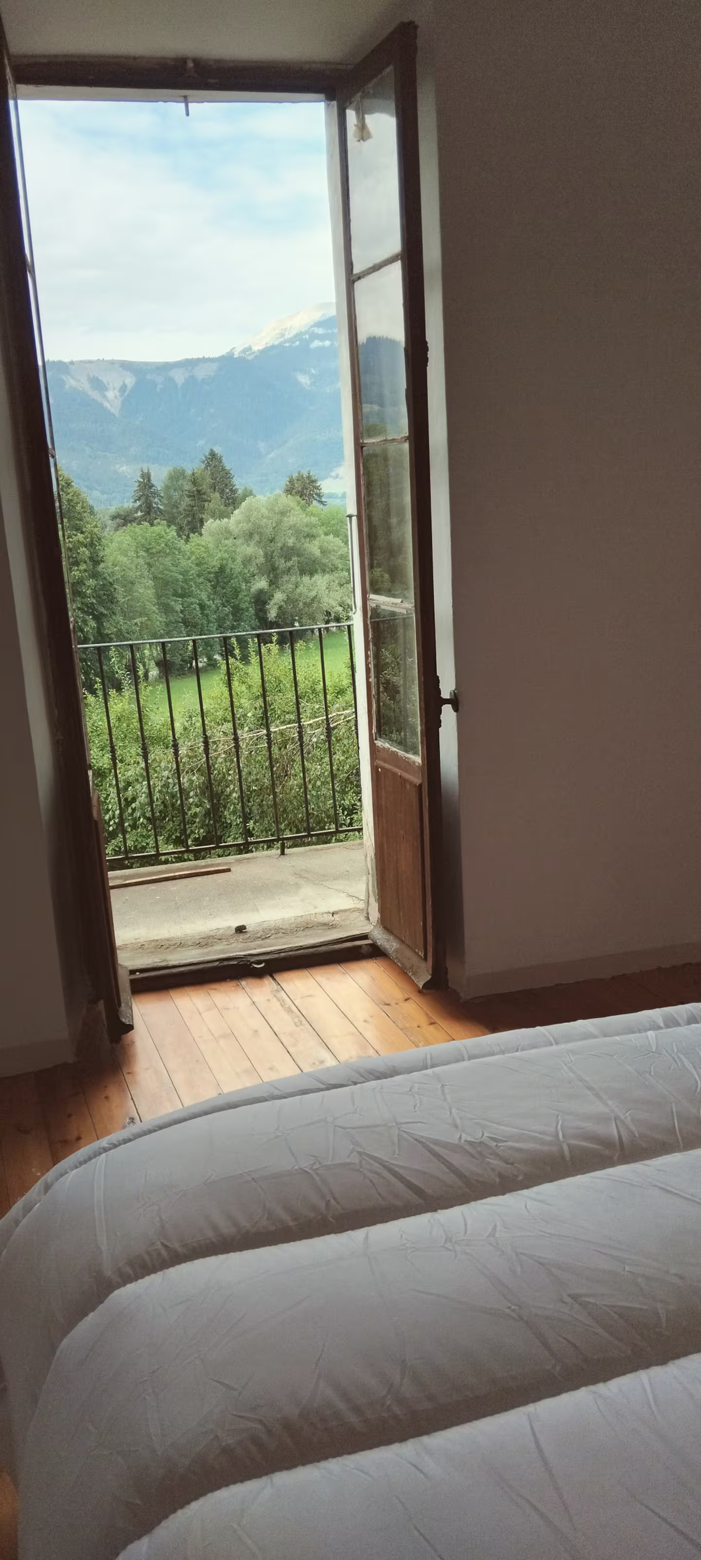 Alpes-de-Haute-Provence En forêt