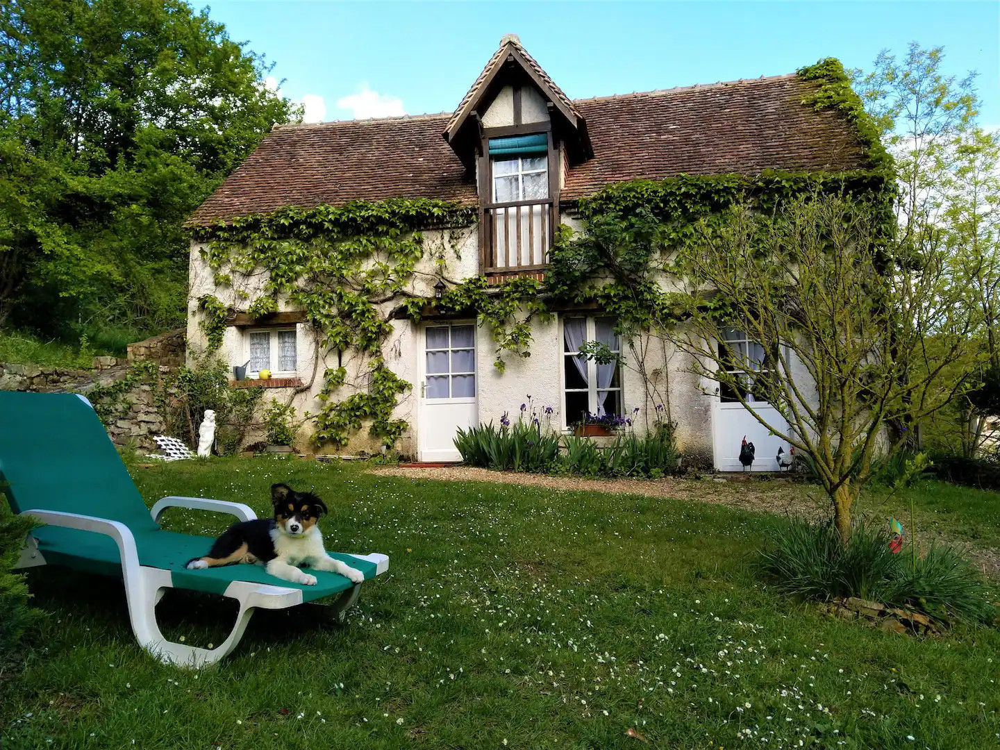 GreenGo Le Rinciou