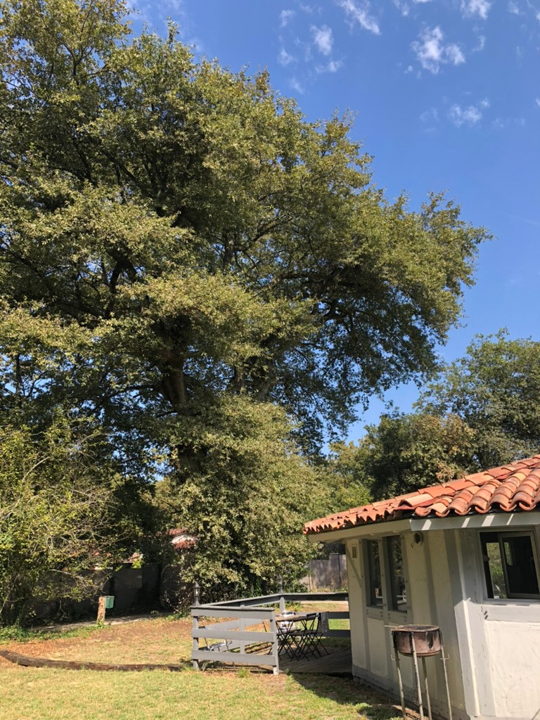 GreenGo Gîte Nouvelle-Aquitaine À la campagne