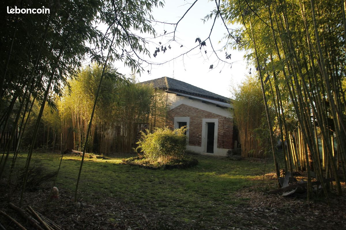 GreenGo Le gîte des bambous