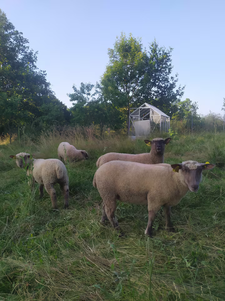 GreenGo Gîte avec jardin au calme jusqu'à 8 voyageurs