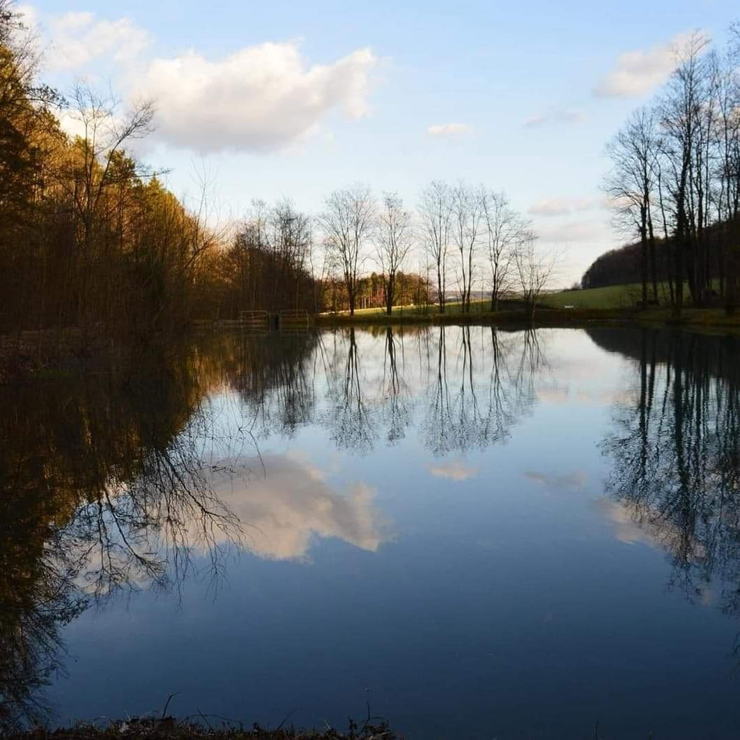 Hôte GreenGo: Domaine de l'étang et sa bulle nature