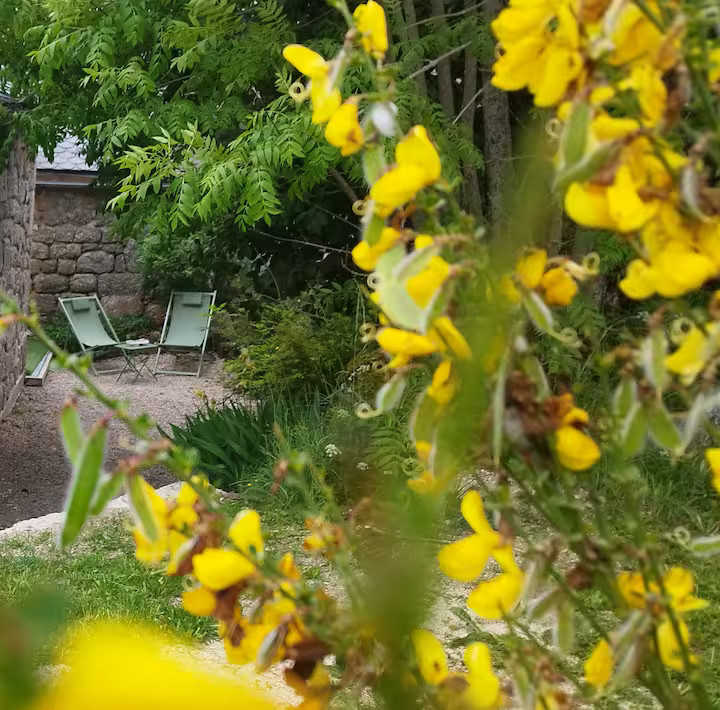 GreenGo Gîte la Grange de Germaine au coeur de la Margeride et aux portes de l'Aubrac