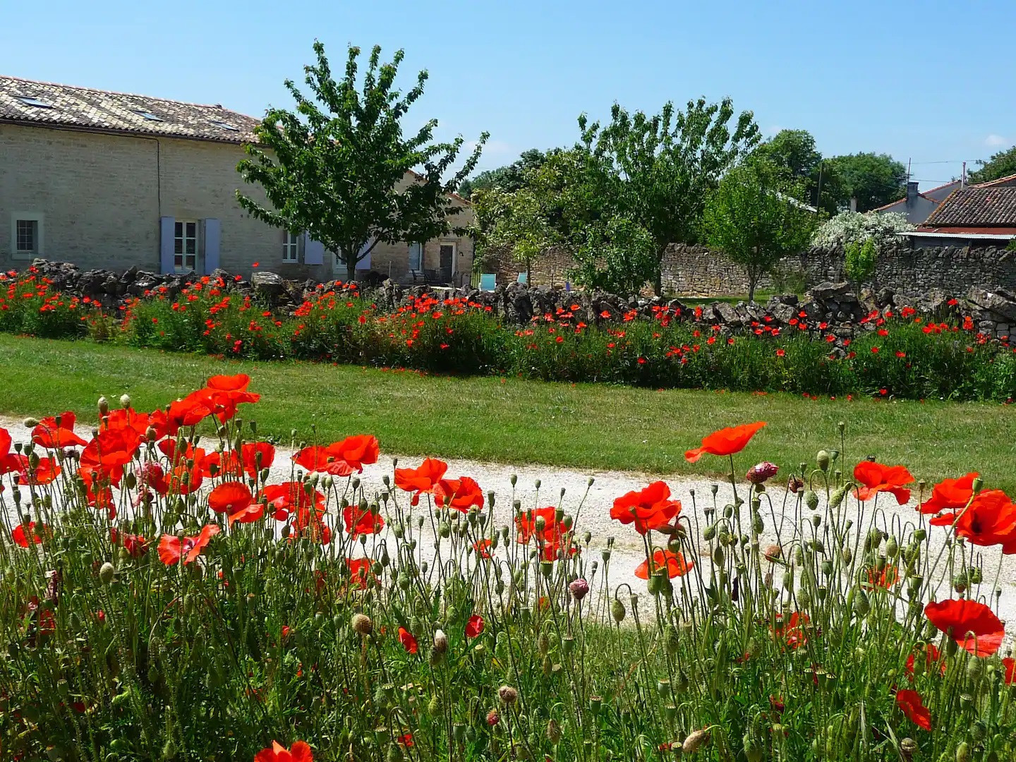 GreenGo Gîte la Ponne