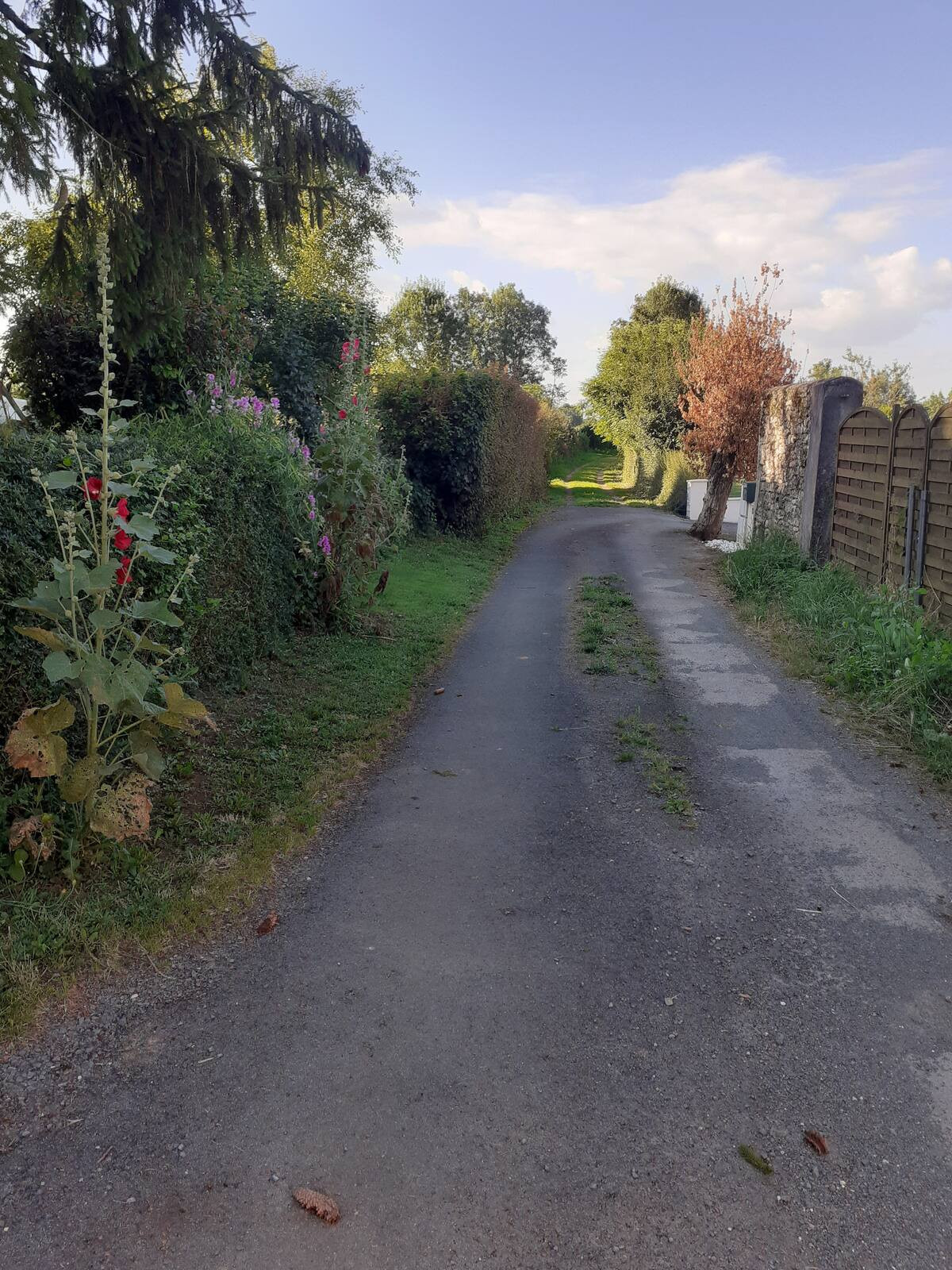 GreenGo Chambre d’hôtes Nouvelle-Aquitaine À la campagne