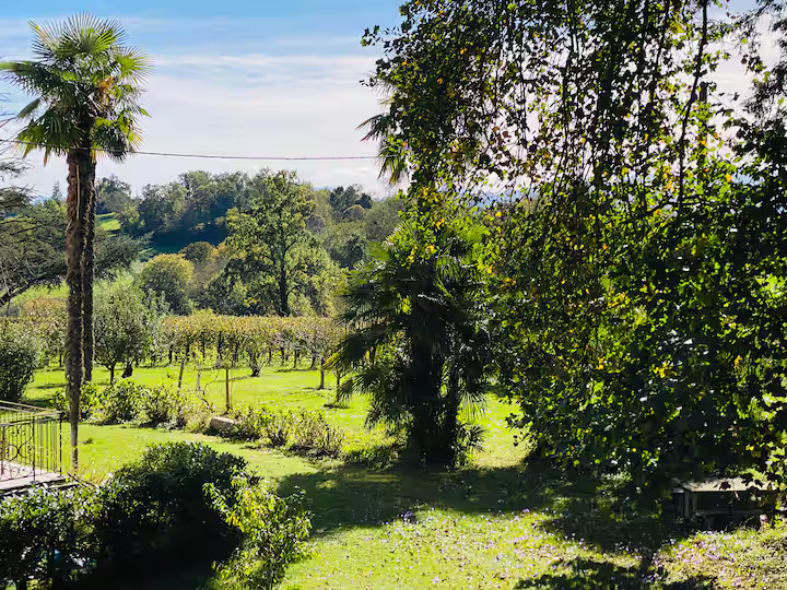 GreenGo location vacances écoresponsables