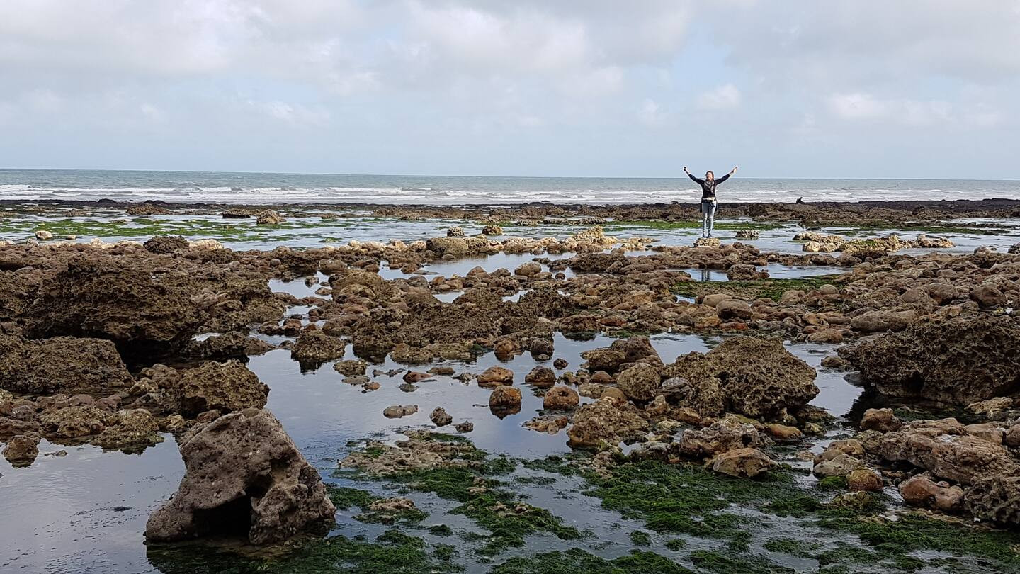 GreenGo location vacances écoresponsables