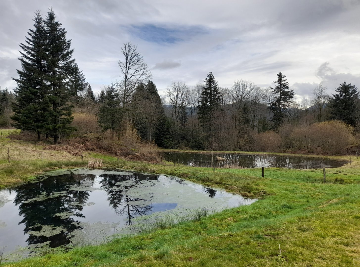 GreenGo Location Bourgogne-Franche-Comté Évasion