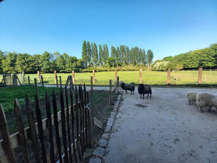 GreenGo Location Hauts-de-France Évasion