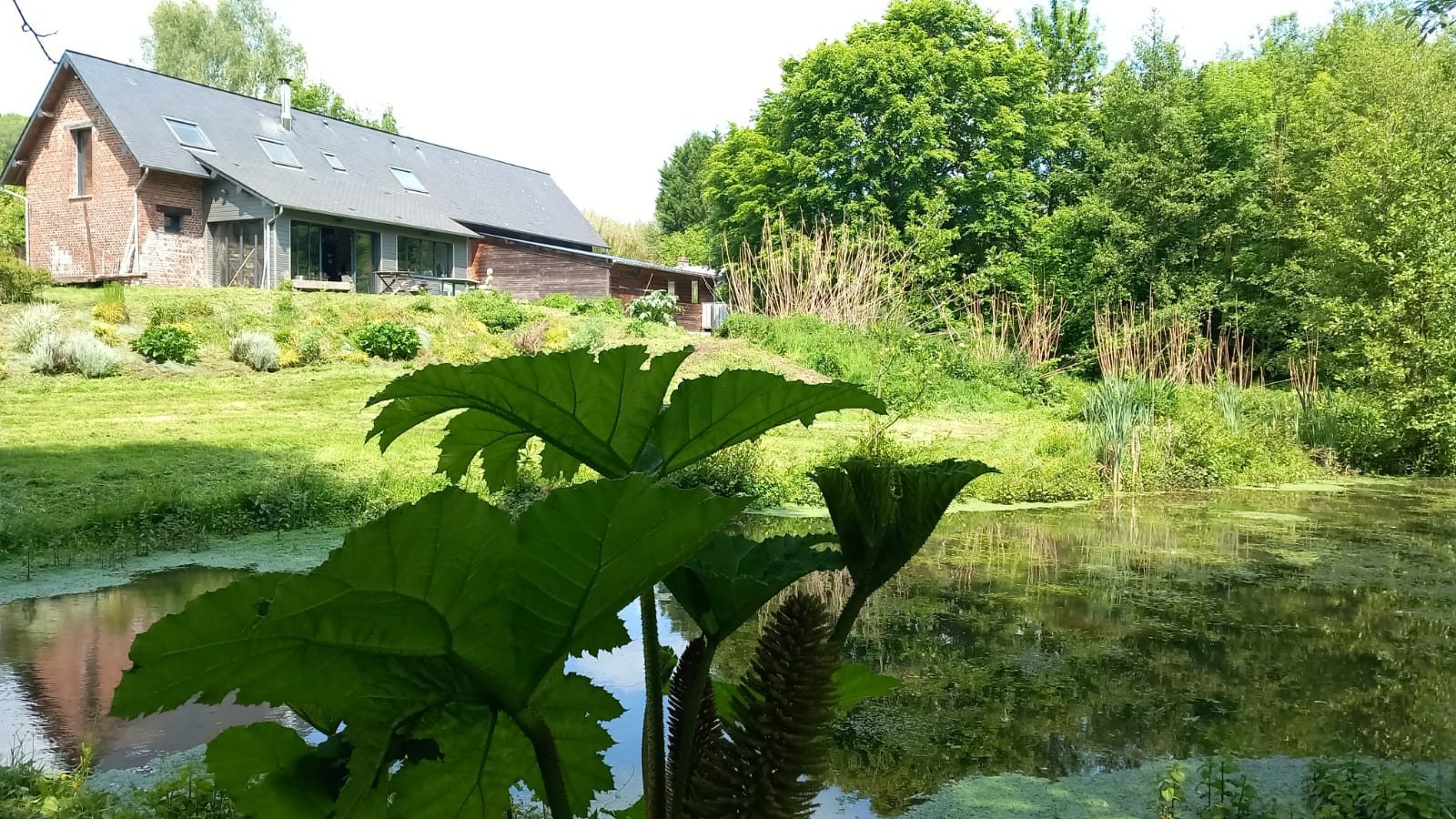 Hôte GreenGo: Ouaîsés