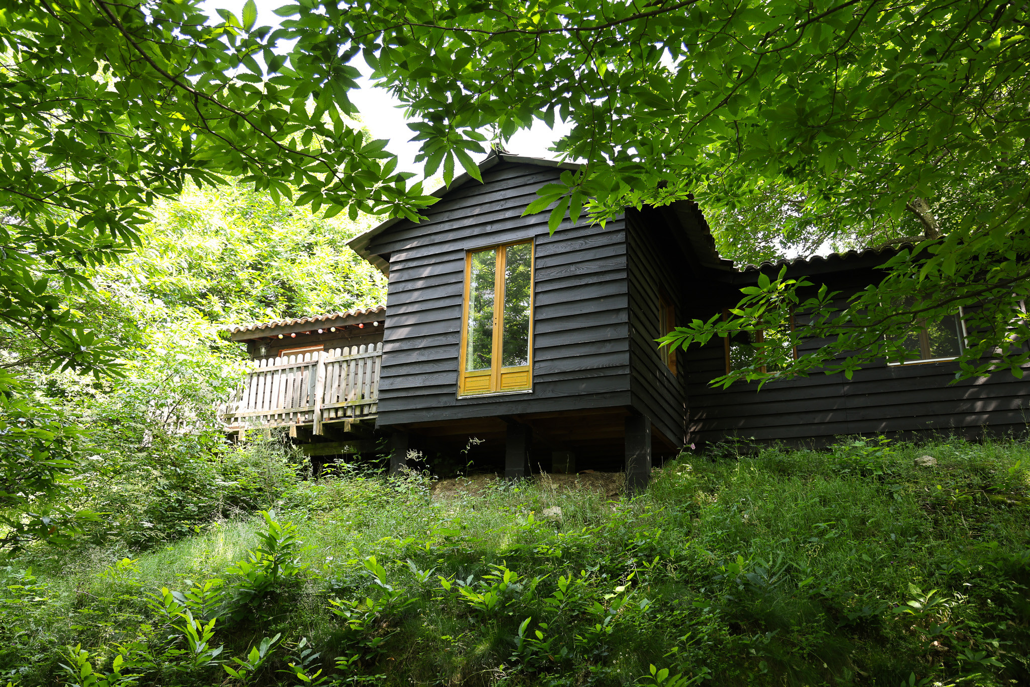 orderedImageAlt_accommodation_default