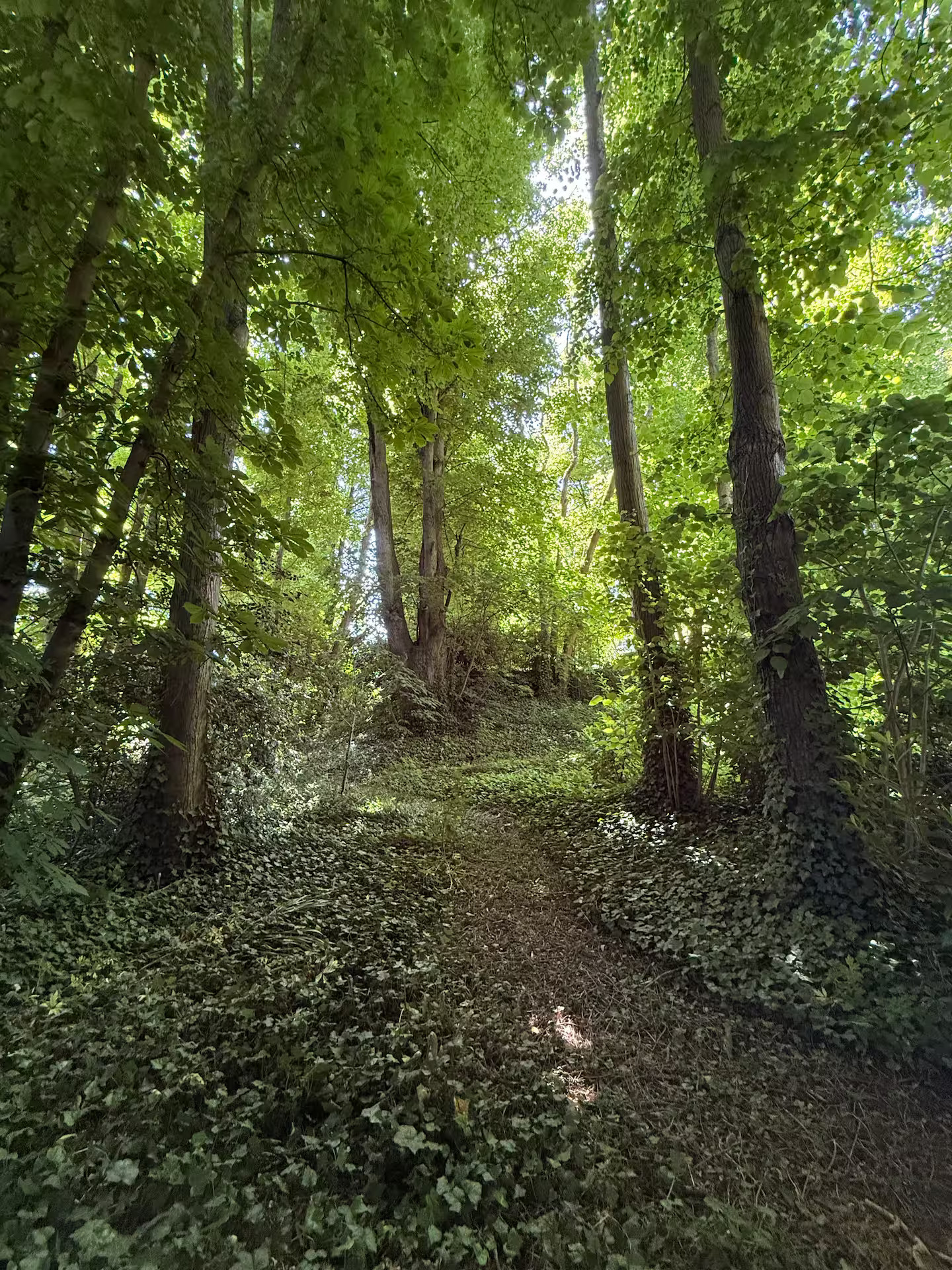 GreenGo Location Île-de-France Évasion