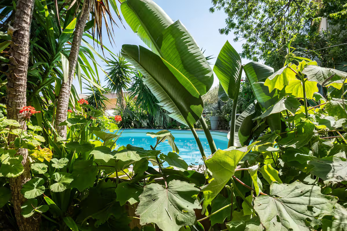 GreenGo Le Zen Piscine privée Vélos électrique