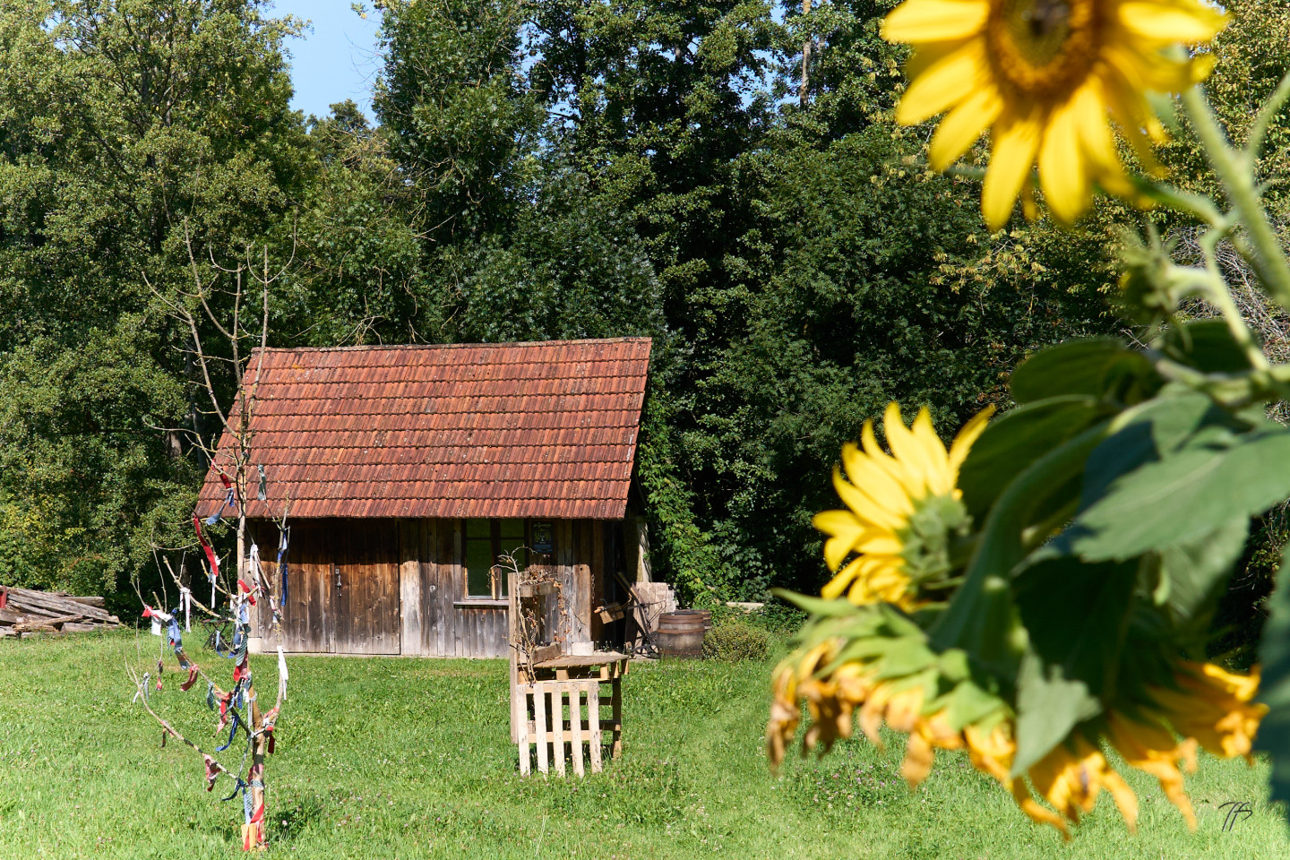 GreenGo location vacances écoresponsables