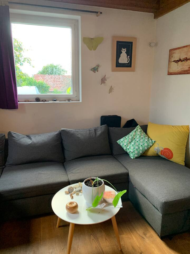 GreenGo Maison passive cosy et tournée vers l’écologie