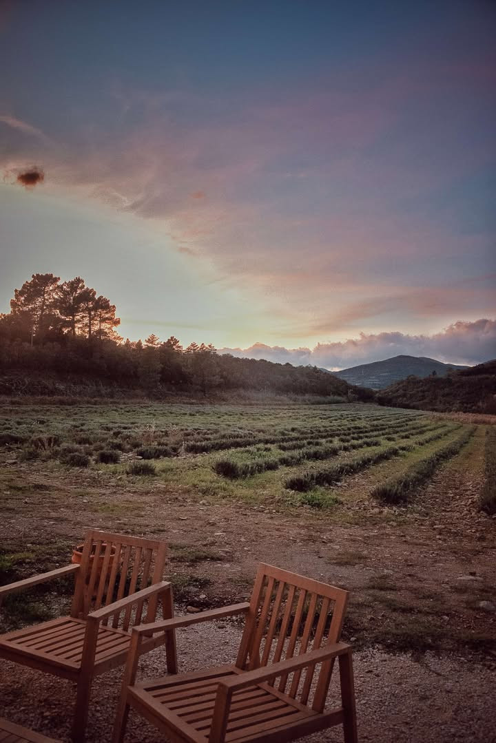 GreenGo Gite isolé du domaine de Canet au cœur du vignoble et d'une nature préservée