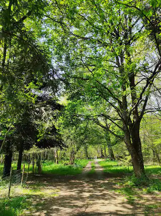 Logement insolite Loire-Atlantique En forêt