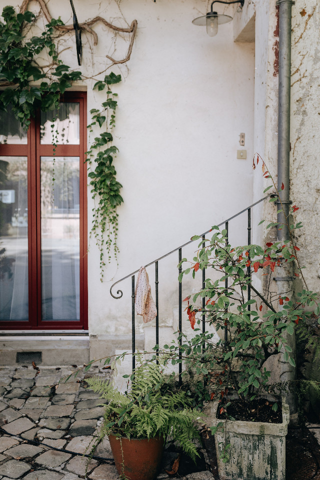 Hôte GreenGo: La Petite Maison des Hauts de Sèvres