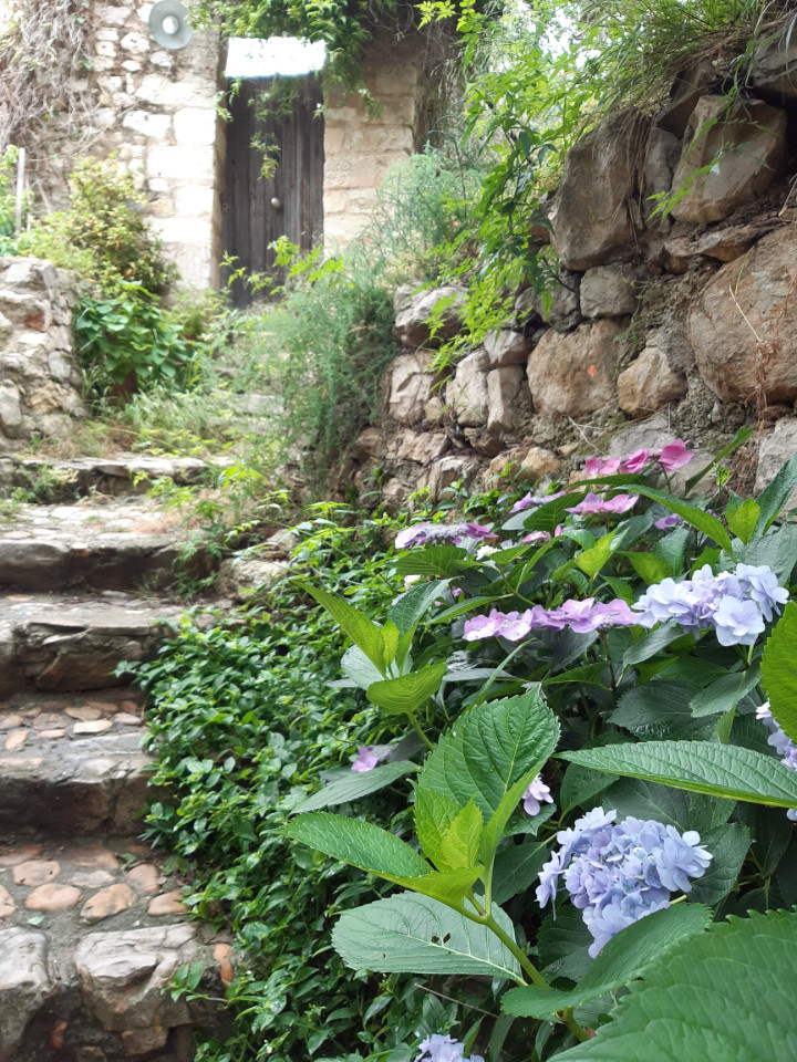 GreenGo Location Provence-Alpes-Côte d'Azur Évasion