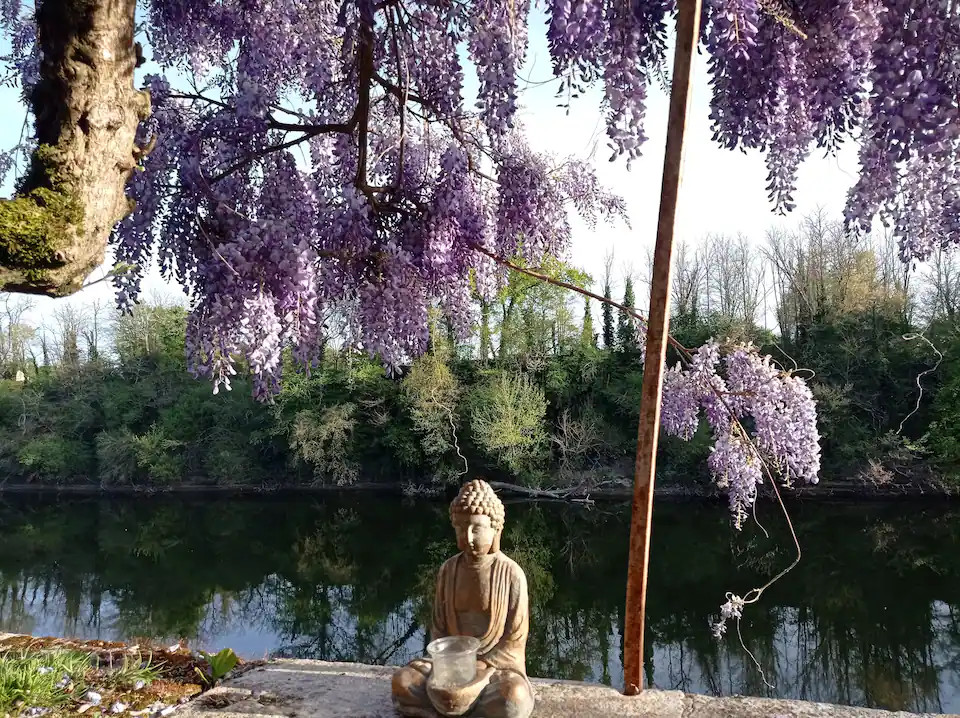 GreenGo Location Nouvelle-Aquitaine Évasion
