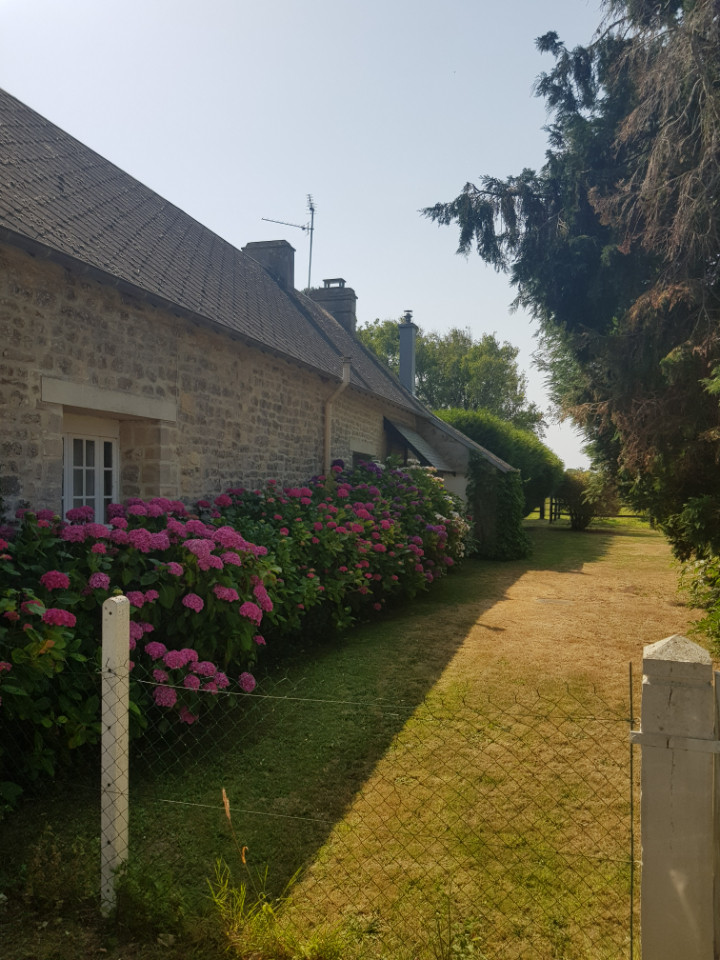 Calvados Rustique