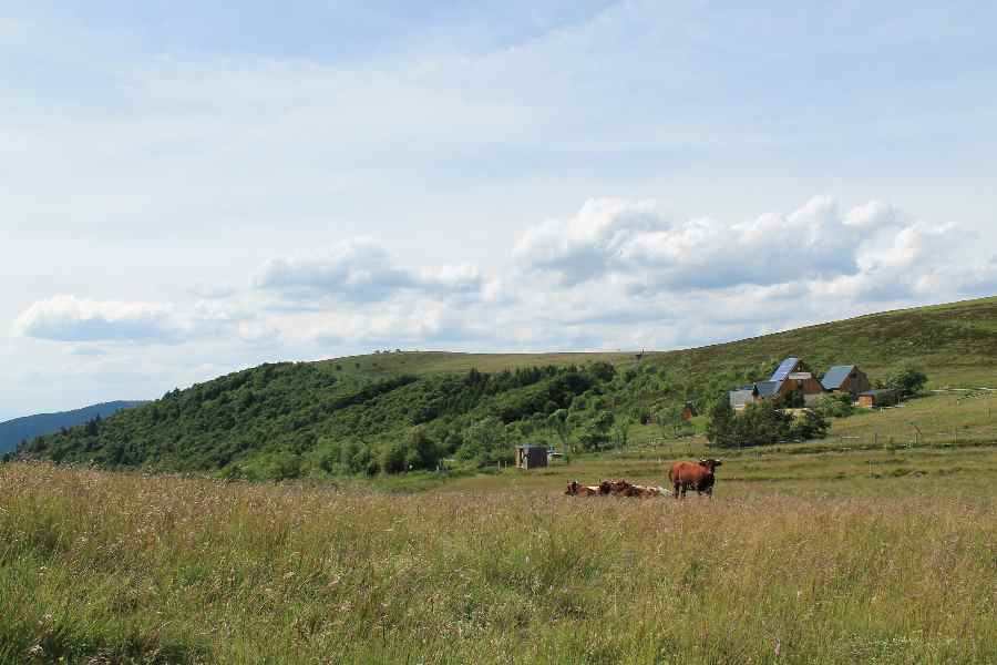 GreenGo Gîte Auvergne-Rhône-Alpes Évasion