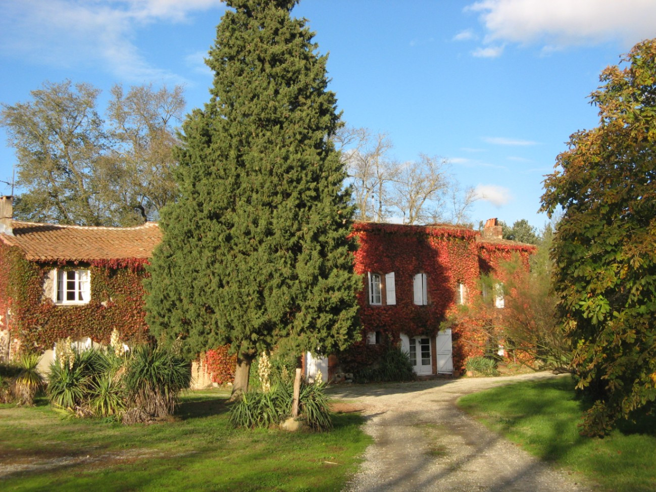GreenGo Gîte rural et familial de Palosse, délices aux noisettes