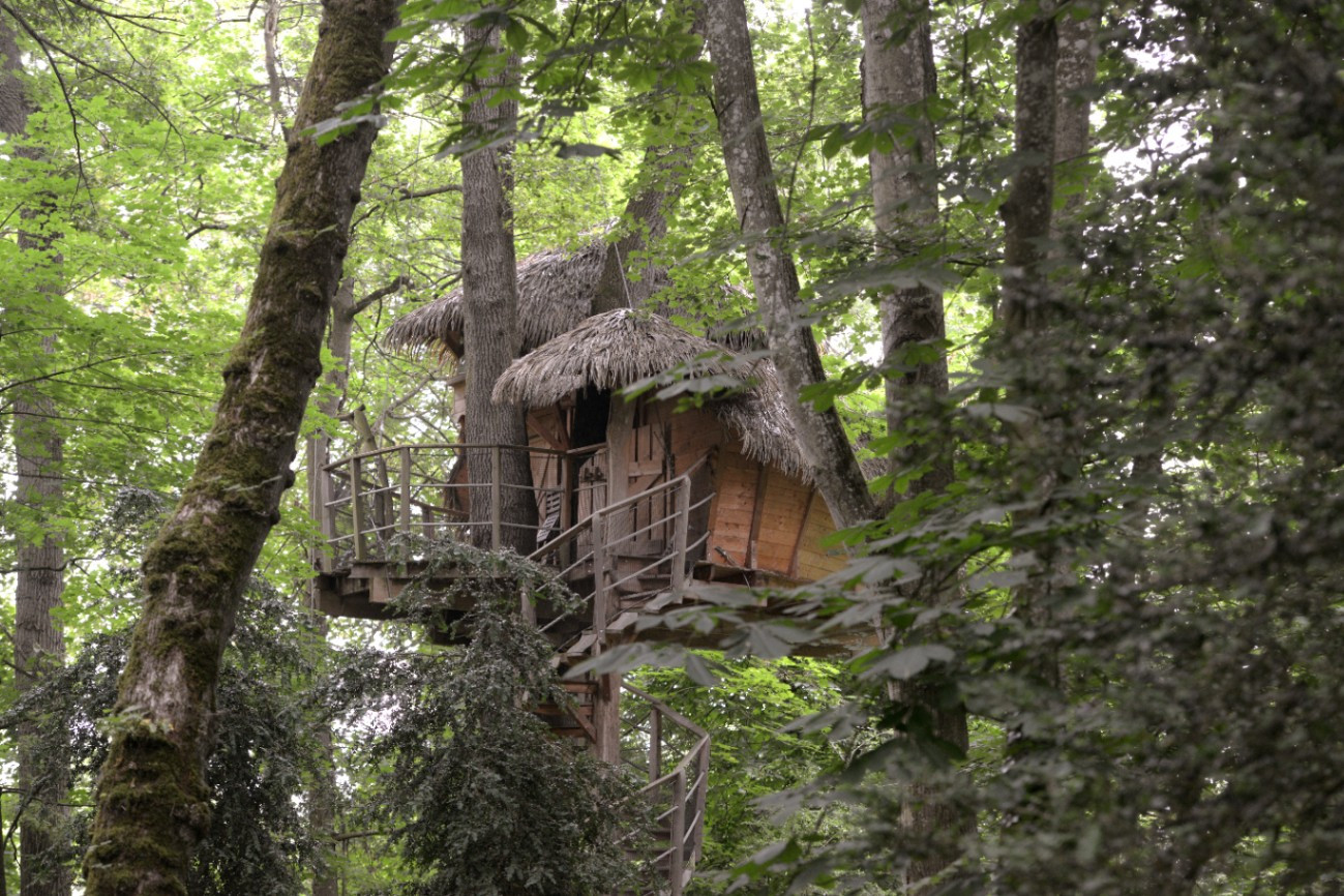 orderedImageAlt_accommodation_default