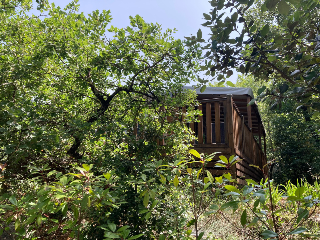 orderedImageAlt_accommodation_default