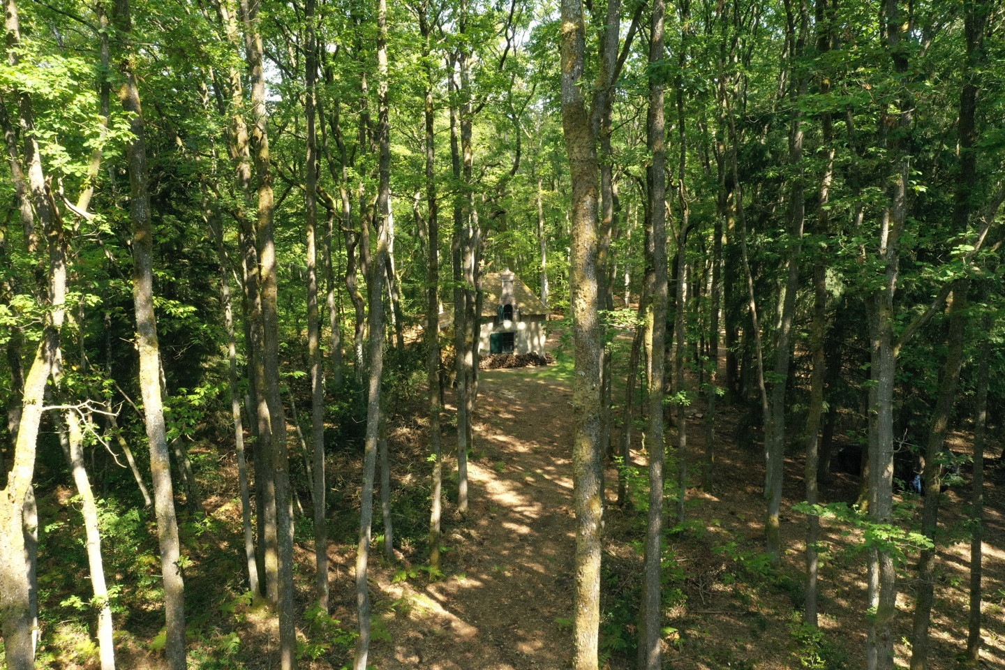 GreenGo La Maison des Bois