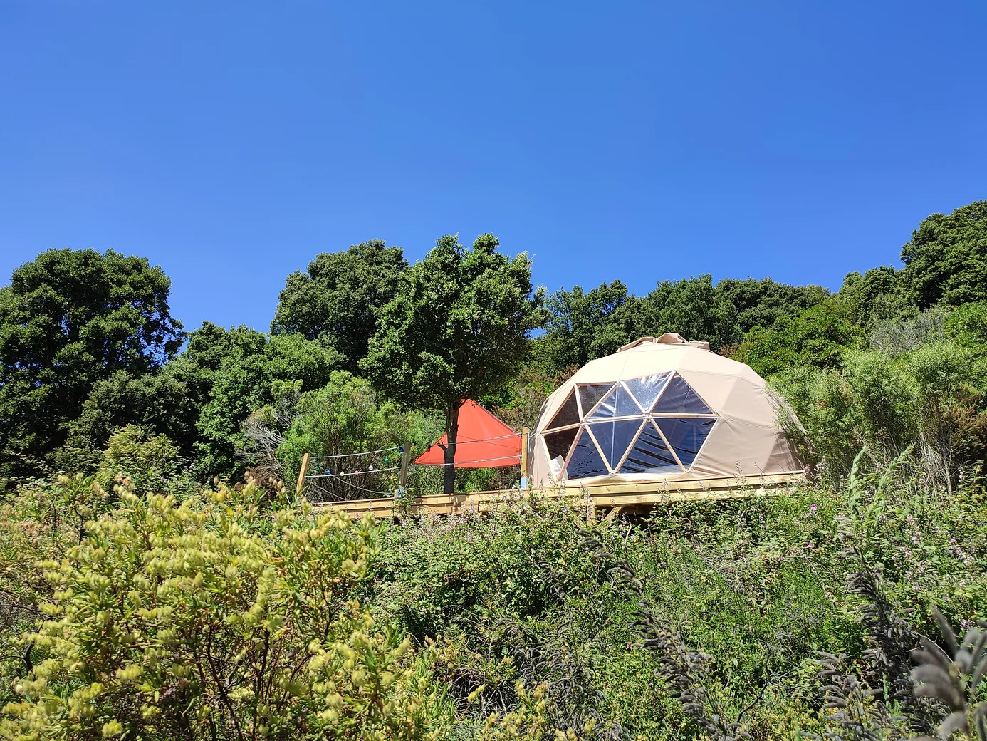 orderedImageAlt_accommodation_default